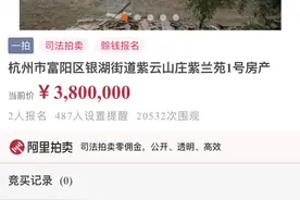惊呆！这套380万起拍的别墅，竟是断壁残垣图片