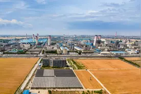 既“红”又“绿”，新乡这家国际上市企业这样把政治优势转化为发展优势图片