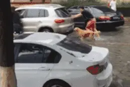 汽车电瓶没电了怎么办？4招教您自救不求拖车！图片