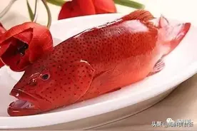 市场常见的102种海鲜，肉质鲜美，营养丰富，你们吃过几种？图片