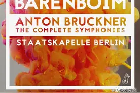 著名指挥家钢琴家   Daniel Barenboim - 丹尼尔·巴伦博伊姆图片