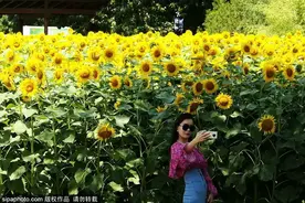 地铁直达！北京这个“宝藏公园”花开成海，超级出片！还有乾隆、慈禧御笔~图片