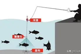 这种钓鱼方式，为何在四川泸州被判刑2个月？图片