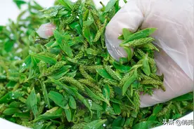 春天遇到这种野味千万别错过，简单一做就是特色菜，好多人没吃过图片