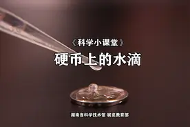 科学小课堂|第四十七期  硬币上的水滴图片