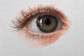 逼真写实向彩铅眼睛图片