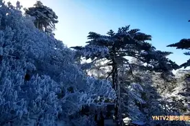 刚刚！昆明轿子雪山下雪了图片