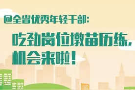 河南优秀年轻干部请注意：吃劲岗位墩苗历练，机会来啦图片