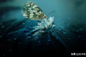 不要取悦任何人，该拒绝就拒绝，你会少了一堆垃圾事图片