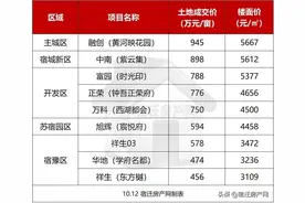 豪横！小高层备案均价13800元/㎡！宿迁豪宅密集上市图片