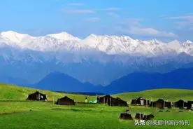40度高温来袭，走吧！一起去祁连牧场康乐草原看雪，骑马，赏花海图片