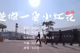 改编歌曲《送你一朵小红花》图片