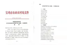 陕西岐山青化镇：打造苹果强镇 结出幸福硕果图片