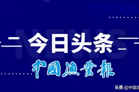 山东农业农村、公安、海警联合开展鱿鱼专项捕捞管理执法行动图片