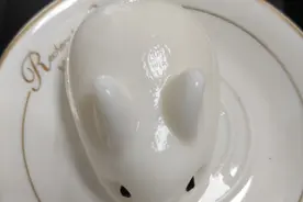 人体的艺术性图片
