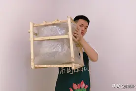 开箱：50元花盆，店家“挂羊头卖狗肉”，看看上盆省钱小技巧图片