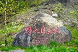 探秘野人目击地和伸手不见五指的燕子洞——神农架自驾行(5)图片
