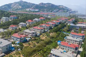 山东最富裕农村之一，别墅是标配，拥有国家一类港口直通韩国图片