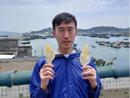 假花胶有几种 2026年假花胶有几种类型