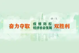 ​2020年汉阳区义务教育阶段公办学校对口服务范围出炉！看看你家孩子上哪所学校图片