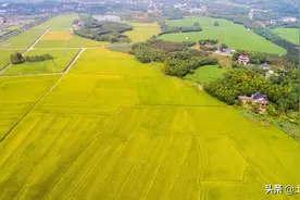 为什么村里有些人会没有地？想要地怎么办？图片