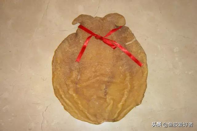 鱼胶可以放多久 2026年鱼胶可以放多久?