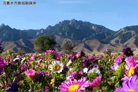 乌鲁木齐9家农庄入选2020年新疆休闲农业精品农庄图片