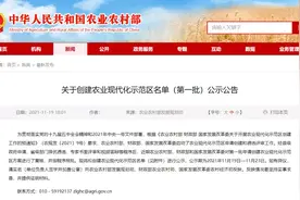 11月21日·邯郸要闻快报：邯郸1地创建首批全国示范，被委以重任！邯郸中华大街这个路口抓拍不礼让行人图片