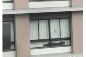偶然看到隔壁楼窗户下这一幕，我要不要多管闲事？哈哈哈图片
