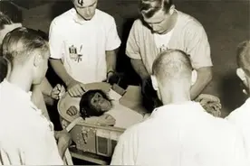 1968年，8只生活在乌托邦的白鼠，560天变2200只，人类也会如此吗图片