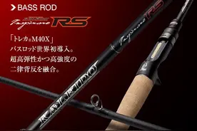 The Black Raven Extreme Rs 竿图片