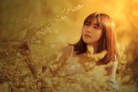 夏落未落，许岁月以深情图片