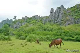 粤西不起眼的小村庄，风景堪称“小桂林”图片