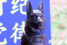 还记得搜救出15人的沈虎吗？如今它化为一座雕像……图片