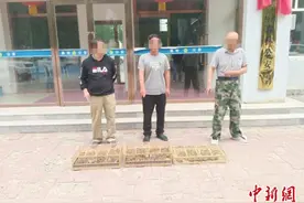 内蒙古公安机关破获一起特大非法狩猎百灵鸟案图片