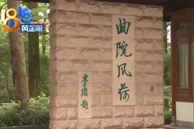 西湖荷花怎么拍最美，拿小本子记下来图片