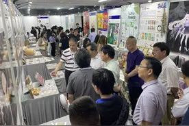 厦门理工学院设计艺术毕业展登场，闽台合作办学激发学生创作新灵感图片
