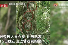 云南哀牢山搜救队员夜遇狗熊：距离50米左右 用明火和鞭炮驱赶图片