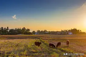 在一个陌生的地方找到故乡的感觉图片