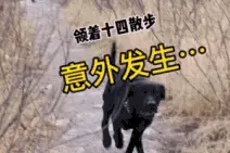 低头玩手机的小姐姐，两人相互一笑之后，我连孩子的名字都想好了图片