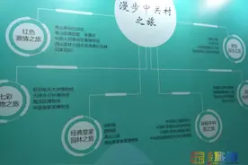 2020服贸会：海淀推介“一地、一村、一城” 充分展示“文化味儿”和“科技范儿”图片