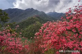 来金寨皂河，观瀑赏花！图片