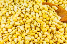 老人家常说“黄豆当枕头，颈椎疾病走”，有科学依据吗？图片