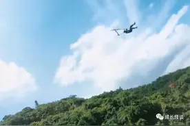 飞得更高，摔得更惨图片
