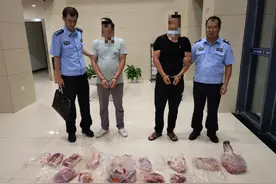 顺手牵羊带走一只野猪，嘴馋的后果很严重！图片