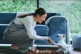 索尼机器人 aibo 获日本国家发明奖图片