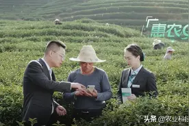 好消息！面向“三农”的无抵押超低利息贷款来啦图片