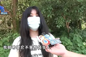 训犬学校里出意外，“乐乐汪”说态度积极图片