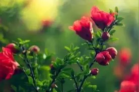 睡不着，说说这扯淡的人生吧图片