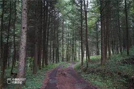 秦岭无人山沟，像极了陶渊明笔下桃花源！密林深处竟藏着如此秘境图片